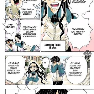 Kimetsu no Yaiba 205 manga Online en Español: Lee aquí el final