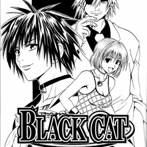 Black cat manga cover